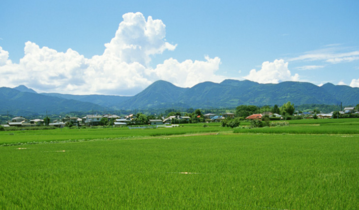 これからの農業