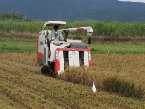 コンバインの点検ポイントはここ